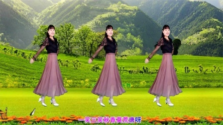 动感有趣广场舞《唐伯虎点秋香》40步教学