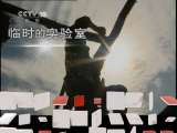 [地理中国]空中杀手（下）(20110608)