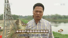 致富经 [致富经]赌光家产后靠养新鱼种发家 20160722
