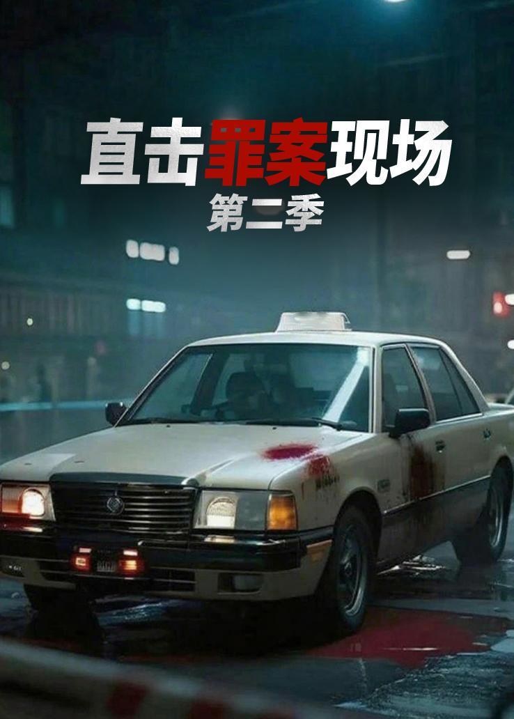 直击罪案现场第二季
