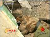 军事报道 军事报道 2010-04-15