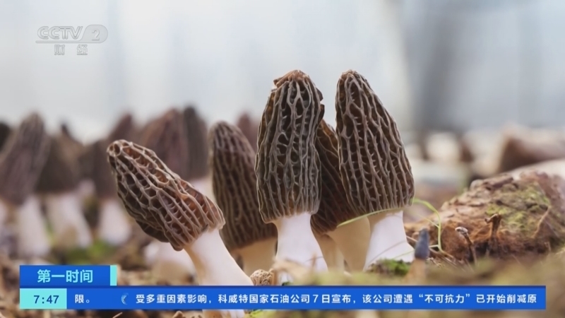 《第一时间》 20260309 1/2