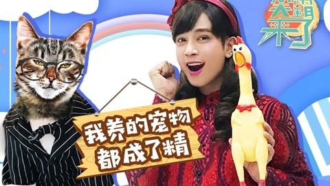 笑霸来了欢畅版 我养的宠物大概都成了精