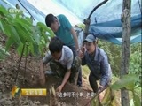 生财有道 《生财有道》 20171009 咱们家乡有特产（秋收系列）——走集安 看特产 寻生财达人