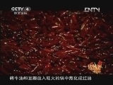 远方的家 北纬30°·中国行 特别节目：别样的美味 《远方的家》 20130102
