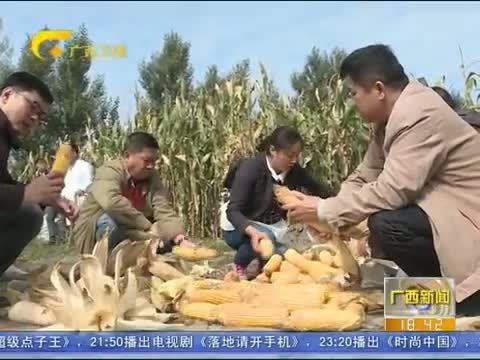 广西新闻 《广西新闻》 20151013