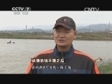 致富经 《致富经》 20150202 该赚的钱不赚之后