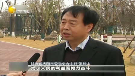 第一时间 流浪犬基地收养奇怪“哈士奇”是狼？