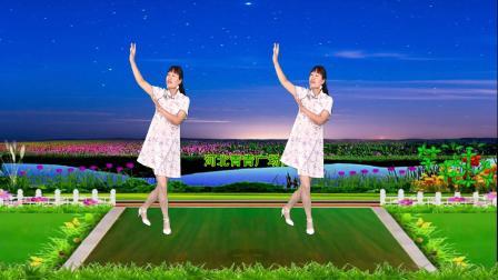 伤感金曲广场舞《为什么变了心》简单32步