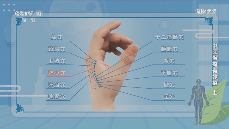 健康之路 《健康之路》 20221229 中医治痛有妙招（上）