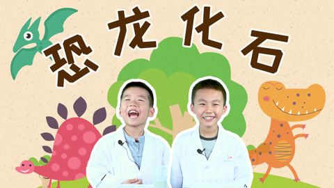 德拉少儿科学实验室 恐龙化石