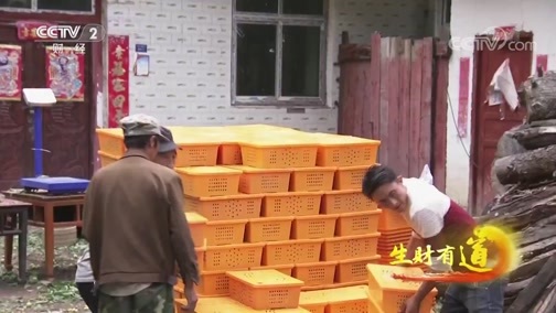 生财有道 《生财有道》 20191112 东坡区和茂县 小康路上牵手干