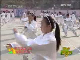 新闻袋袋裤 新闻袋袋裤 2008年 第300期