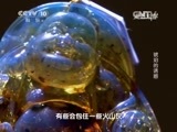 走近科学 《走近科学》 20150521 琥珀的诱惑