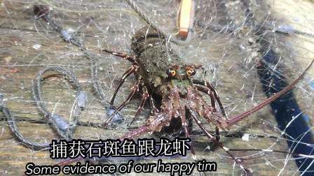 南澳岛赶海日记 彪哥出海捕鱼，这次收获了石斑鱼还有龙虾，实在太高兴了