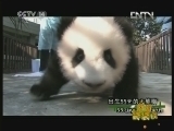 新闻袋袋裤 《新闻袋袋裤》 20121119