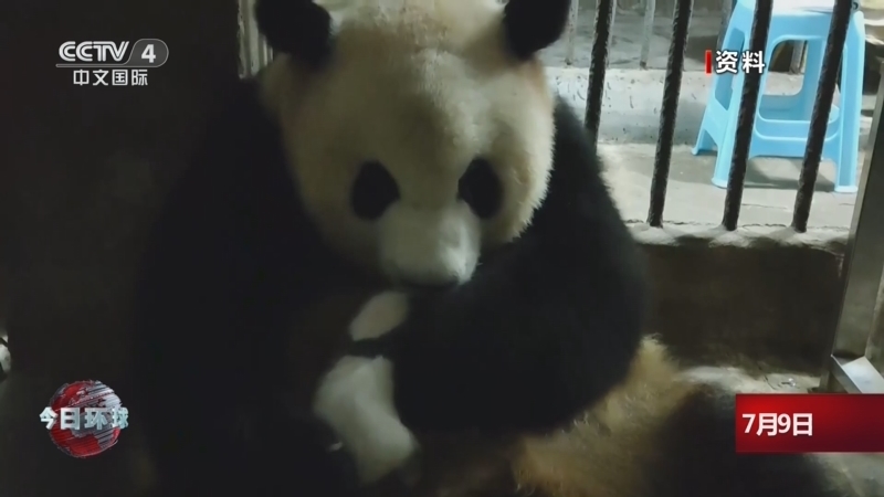 今日环球 《今日环球》 20260709