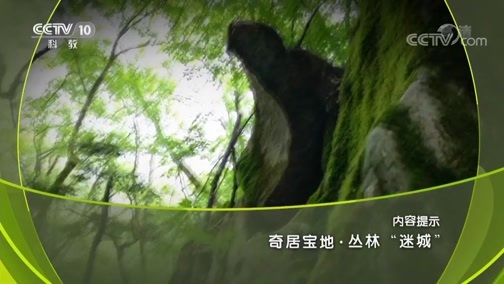 地理中国 《地理中国》 20190407 奇居宝地·丛林“迷城”