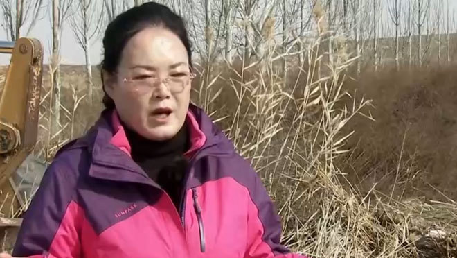 致富经 《致富经》 20201120 戈壁滩里找财富的女人