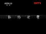动物世界 《动物世界》 20111028