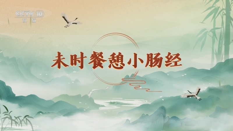 百家讲坛 《百家讲坛》 20260330 延年益寿话养生（第二部）16 未时餐憩小肠经