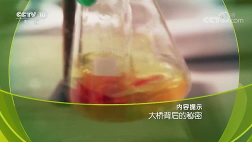 走近科学 《走近科学》 20190121 大桥背后的秘密