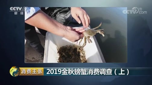 消费主张 《消费主张》 20190926 2019金秋螃蟹消费调查（上）