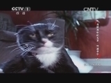 动物世界 《动物世界》 20140315 自然界中的大卫-科波菲尔（四）