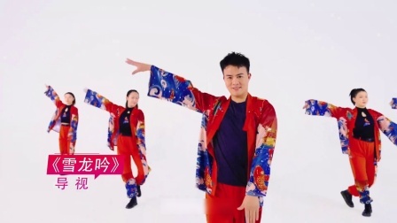 雪龙吟-毕刚（导视）