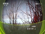 地理中国 《地理中国》 20160705 雪峰奇景（上）