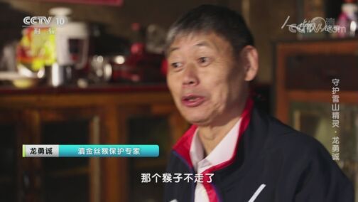 人物&middot;故事 《人物·故事》 20200728 守护雪山精灵·龙勇诚