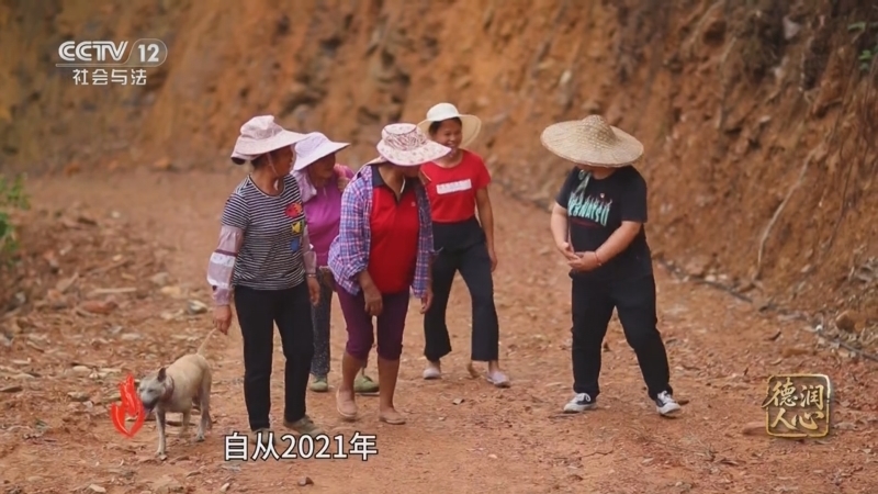 道德观察 《道德观察(日播版)》 20250608 德润人心