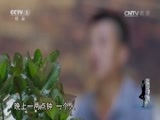 今日说法 《今日说法》 20151213 小心窗外
