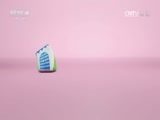 小小智慧树 《小小智慧树》 20170327