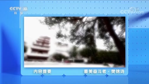 人物&middot;故事 《人物·故事》 20200713 最美奋斗者·樊锦诗