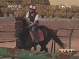生财有道 《生财有道》 20131023 多亏买下一匹瘸腿马