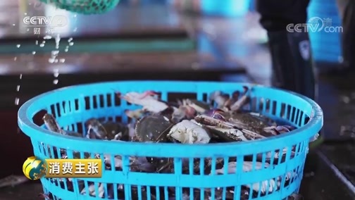 消费主张 《消费主张》 20190924 海鲜消费市场调查（下）：舟山渔场