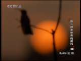 动物世界 动物世界 2010年 第209期