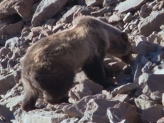 地球脉动 第一季（Planet Earth I） 地球脉动 第一季（Planet Earth I）第2集：雄伟高山