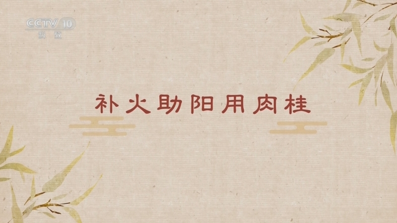 《百家讲坛》 20250506 舌尖上的养生（第二部） 2 补火助阳用肉桂