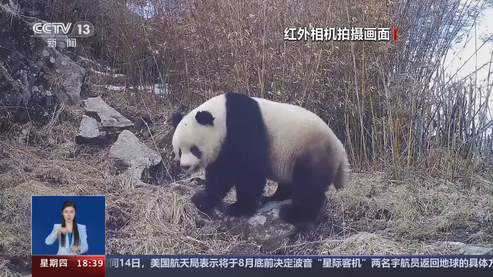 共同关注 《共同关注》 20240815