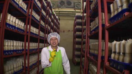 食在好源头 第三季 韩国篇：寻找独特比目鱼、济州岛海鲜、盛开玫瑰、金针菇种植、挑选蜜瓜的秘密