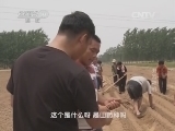 我爱发明 《我爱发明》 20140902 开沟神机