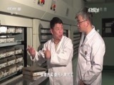 走近科学 《走近科学》 20170606 走进国家重点实验室 新药从何来（下）