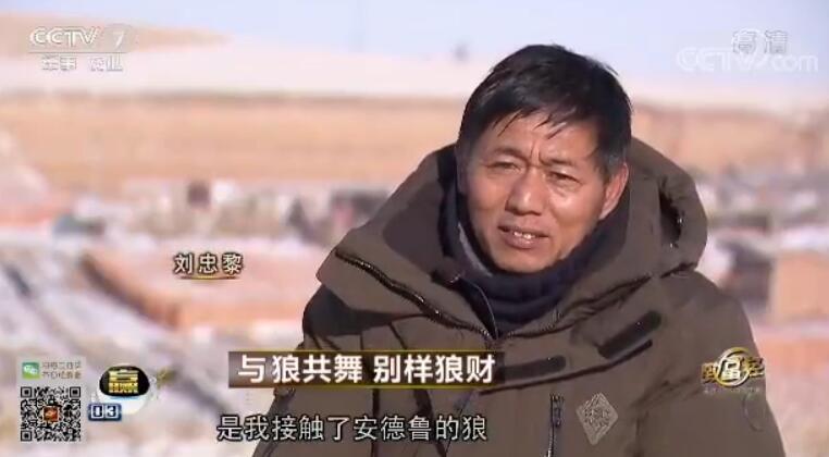 致富经 [致富经]与狼共舞 别样狼财 20180322
