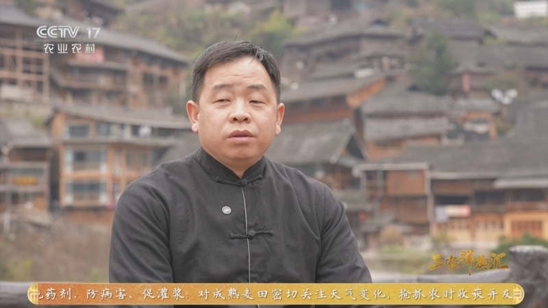 三农群英汇 《三农群英汇》 20260612 一锅烟火富家乡