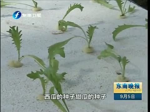 东南晚报 《东南晚报》 20140905