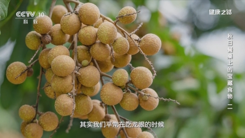 健康之路 《健康之路》 20230912 秋日餐桌上的宝藏食物（二）