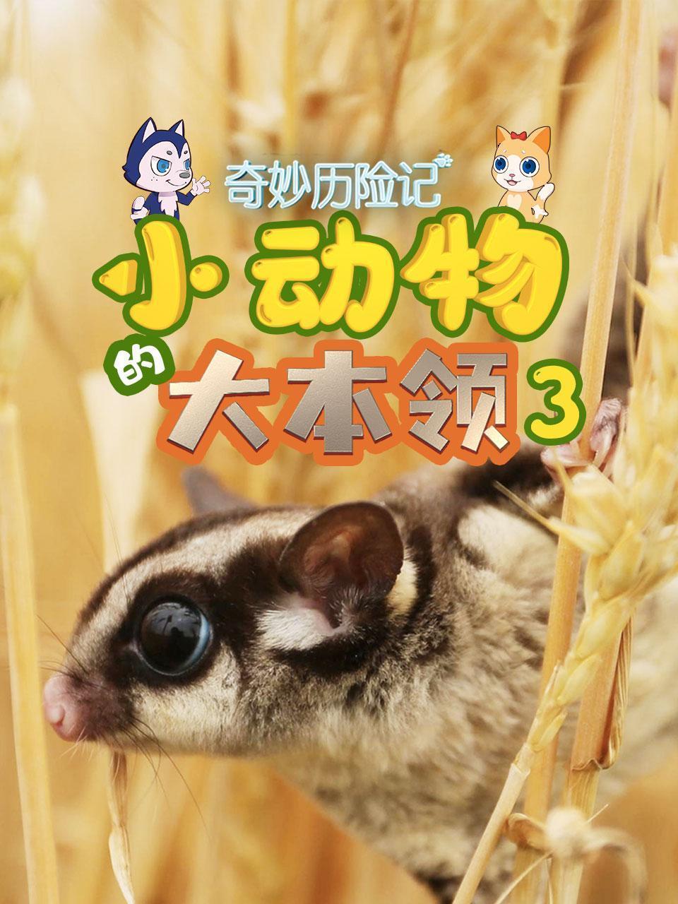 奇妙历险记：小动物的大本领3