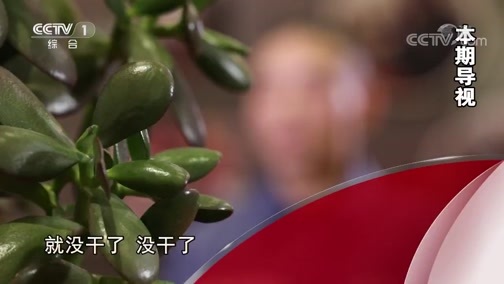 今日说法 《今日说法》 20190904 特殊会见（上）